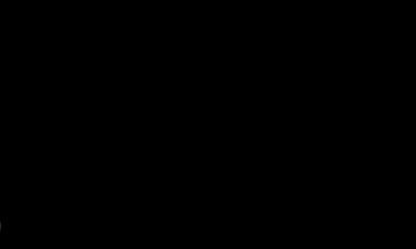 PET 1